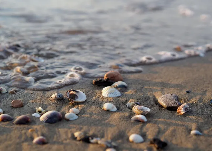 Apartment Coastal With Shared Pool
